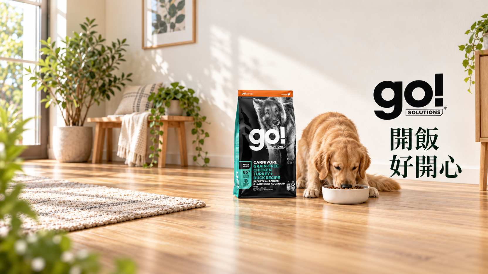 GO! Solutions